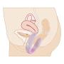 Waterproof 10 Speed Silicone Vibrator Recharge Clitoral G-Spot Massage for Couples Adult Sex Toys for Woman Sex Products (black)