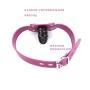 FeiGu Penis Mouth Ball Gag Lockable 4 (Short, Hot Pink)