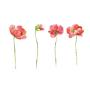 SanerLian Dandelion Lotus Flowers Temporary Tattoo Sticker Rose Sunflowers Watercolor Waterproof Women Girls Hand Arm Chest Back Body Art 10.5X6cm Set of 12 (Design1)