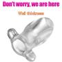 Kixnor Medical Silicone - The Stretch - Hollow Butt - Plug - Clear