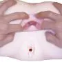 NPG Dual-layer Extreme Pleasure Hip Shinsei (Nippori-ban Shinsei Gokujyou-namagoshi)