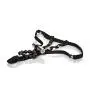 Rechargeable Lovers Cheeky Panty™ with Pleasure Beads - Vibrating Pleasure Panties for Women - Beaded Cock Ring Toy for Couples - Black
