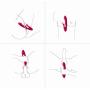 LEVETT Powerful Dildo Female Vibrator to Stimulate Clitoris and G Spot 14 Vibration Modes Rechargable Massager