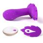 Wireless Remote Anal Plug Male Prostate Massager with 10 Vibration Modes,Waterproof Anal Sex Toys Vibrator for Men & Women and Couple Play Fun (Purple)