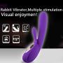 Rabbit Dildo Vibrator G Spot for Clitoris Stimulation, Waterproof Clit Stimulator with 10 Vibration Modes Quiet Motor for Women USB Magnetic Rechargeable