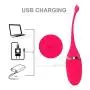 ZHLZZ Vibrating Egg Remote Control Vibrators Sex Toys for Women Exercise Vaginal Kegel Ball G-Spot Massage USB Rechargeable,Red