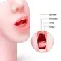 YYOJ Masturabation for Men, Masturbator Blowjob deep Throat Soft Teeth Tongue Stimulator Oral Erotic Sex Toys Toys4 Male Toy Porn Adult Penis Sensuality Store Pussy, Gifts for Him 16x8.5x7.5cm YYOJ Masturabation for Men, Masturbator Blowjob deep Throat Soft Teeth Tongue Stimulator Oral Erotic Sex Toys Toys4 Male Toy Porn Adult Penis Sensuality Store Pussy, Gifts for Him 16x8.5x7.5cm