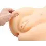 SINLOLI Love Doll Sex Doll Torso,Premium Sex Toys (Female Love Doll, Flesh) SINLOLI Love Doll Sex Doll Torso,Premium Sex Toys (Female Love Doll, Flesh)