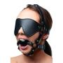 Strict Leather Blindfold Harness and Ball Gag