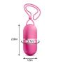 Powerful 10 Vibrating Functions Wireless Satin Smooth Egg - Remote Control Bullet Vibrator - Sex Toy for Women - Sex Toy for Couples (Raspberry)