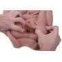 NWDoll Life Size Love Doll Sex Doll with Head Male Masturbator Torso Breasts Ass Vagina TPE Solid Gel Dolls for Men (Tan)
