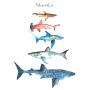 WYUEN 12 PCS/lot Whale Shark Temporary Tattoo Sticker for Women Men Fake Tatoo Body Art Adult Waterproof Stickers 9.8X6cm W12-06