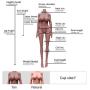 YOUOU Alice Sex Doll for Men 158CM 518 F-Cup Lifelike Soft TPE Sex Toys with 3 Holes Full Size Real Love Sex Doll with Discreet Shipping