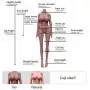 YOUOU Alice Sex Doll for Men 158CM 518 F-Cup Lifelike Soft TPE Sex Toys with 3 Holes Full Size Real Love Sex Doll with Discreet Shipping YOUOU Alice Sex Doll for Men 158CM 518 F-Cup Lifelike Soft TPE Sex Toys with 3 Holes Full Size Real Love Sex Doll with Discreet Shipping