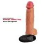 Adult Waterproof Vibratoir with Warming Function Massager 8.43 Inch Lifelike Feel Dilldo Toy Adult Waterproof Vibratoir with Warming Function Massager 8.43 Inch Lifelike Feel Dilldo Toy