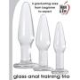 Adam and Eve Glass Anal Training Trio 3 Clear Butt Plugs