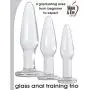 Adam and Eve Glass Anal Training Trio 3 Clear Butt Plugs Adam and Eve Glass Anal Training Trio 3 Clear Butt Plugs