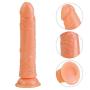 Realistic Dillo for Women Strong Suction Cup Base Zhanglibin