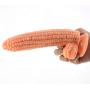 Worth Having/Massage Corn Soft Stick for Men and Women