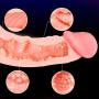 Zlolia Superior Anal Realistic Penis Dildo with Suction Cup Adult Sex Toys for Women, Flesh