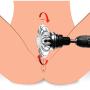 LoveBotz Pleasure Attachments for Power Spinner