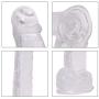 Realistic Dildo Jelly Dong, 8 inch Dildo for Beginners with Strong Suction Cup Base for Vaginal G-spot and Anal Play(Clear)