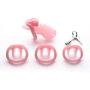 Holy Trainer V3 Device Cage with 4 Size Massager Ring Belt Products