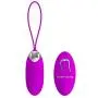 XISE Rechargeable Bullet Vibrator Wireless Remote Control Vibrating Love Egg Vibrators Adult Sex Toys Vibe for Women or Couples XISE Rechargeable Bullet Vibrator Wireless Remote Control Vibrating Love Egg Vibrators Adult Sex Toys Vibe for Women or Couples