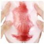 USA SELLER _ EXE Julia +Masturbator Plus FREE Antibacterial Toy Cleaner