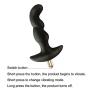 BYL 10 Vibration Patterns Vibrating Prostate Massager Rechargeable G Spot Vibrator Waterproof Anal Sex Toy for Men Women and Couples. (Persian Daisy) BYL 10 Vibration Patterns Vibrating Prostate Massager Rechargeable G Spot Vibrator Waterproof Anal Sex Toy for Men Women and Couples. (Persian Daisy)