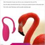 ZLoad Waterproof Massager with Quiet Dual Motor 9 Vibration Modes, Wireless Remote Vibration Toy with Magnetic USB Rechargeable Design for Couple Play