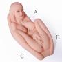 Tan Skin Love Doll Mens Silicone Entity Doll Toys,Mens Massager Toys