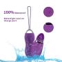 Kegel Balls for Tightening -Doctor Recommended Ben Wa Balls for Women Bladder Control & Pelvic Floor Kegel Exercises for Beginners - Kegel Weights, Purple,ALKAID …