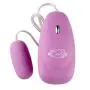 Cloud 9 Novelties Bullet 12 Speed with Remote, Pink, 0.15 Pound Cloud 9 Novelties Bullet 12 Speed with Remote, Pink, 0.15 Pound