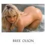 Topco TLC Bree Olson CyberSkin Vibrating Suction-Base Pussy and Ass