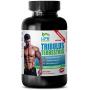 Testosterone booster for men - TRIBULUS TERRESTRIS EXTRACT 1000Mg - Tribulus strength testosterone booster - 1 Bottle 90 Tablets