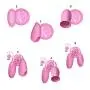QUQUMARY Multispeed Licking V`îbŗator Mute Motor Waterproof G Spót Clǐtoris S`imùlȁtor Mássagér Ađ-ULT Sexy Toy for Women