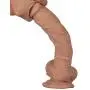 Namee Deluxe Realistic Dong Penis, 20 CM Premium Dildo Huge Cock with Natural Tight Veins and Extra Strong Suction Cup&Ball for Woman Adult Sex Toys Sex Games (415 g) (7 inches)