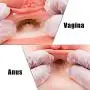 3D Male Masturbator Sex Dolls for Men Male Lifelike Silicone Sex Toys with Vagina Pussy Anal Toy for Men Masturbation (9.5×9×5inch) 3D Male Masturbator Sex Dolls for Men Male Lifelike Silicone Sex Toys with Vagina Pussy Anal Toy for Men Masturbation (9.5×9×5inch)