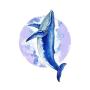 WYUEN 12 PCS/lot Whale Shark Temporary Tattoo Sticker for Women Men Fake Tatoo Body Art Adult Waterproof Stickers 9.8X6cm W12-06