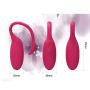 Bluetooth Remote Control Vibrator App with iOS Android Personal Intelligent Massage