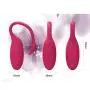 Bluetooth Remote Control Vibrator App with iOS Android Personal Intelligent Massage