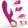 L’aise Vie V2 Rabbit Vibrator Personal G-spot Vibe Electric USB Rechargeable Powerful Massager with 42 Different Functions for Females Waterproof Adult Sex Toys (Hotpink)