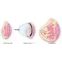 FeiGu Manual Dual Breast Vacuum Enlargement Pump Suction Cup FeiGu Manual Dual Breast Vacuum Enlargement Pump Suction Cup