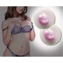 SEED 1 Pair Vibrating nipple massagers tool breast Petals Massager Pleasure Cup Nipple Pads Breast Cups Nipple Toy