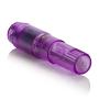 Dr. Laura Berman Intimate Basics Athena - Waterproof Mini Massager - Adult Toys Vibrator - Pocket Massager - Purple