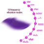 Walking Mouse Best Ví-bratórs 10 Speed Ví-bratórss Panties Invisible C String Wireless Remote Control Ví-bratórss Egg G Spot Ví-bratórs Adult Sexa-Toys for Woman Tshirt,Rose PAUX