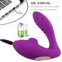 Tingxuan Handheld Wand Massager Durablemulti-Speed USB Charging Wireless Silent and Waterproof 10 Frequency for Relieve Muscle Fatigue DEPUR