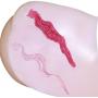 NPG Dual-layer Extreme Pleasure Hip Shinsei (Nippori-ban Shinsei Gokujyou-namagoshi)