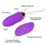 Sex Toy for Women,PPW Vibrating Egg with Remote Control,Powerful Vibrator for Clitoris Stimulation,10 Vibrations,Silicone,Waterproof Adult Toy Purple (Purple-1)